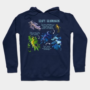 Animal Facts - Leafy Seadragon Hoodie